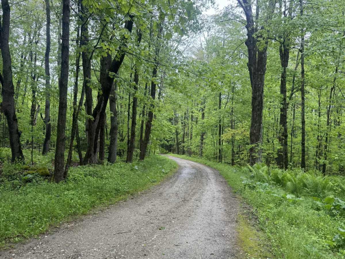 Beartown Mountain Road photo 2