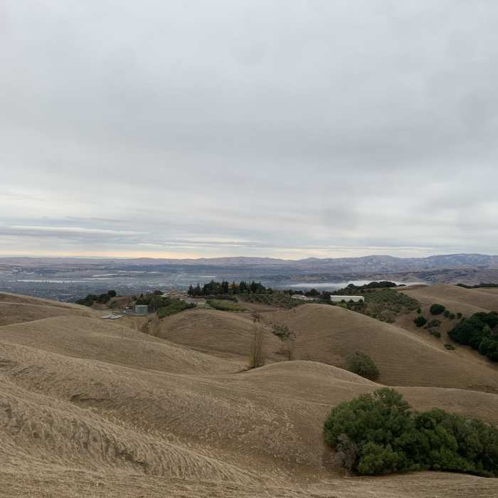 Near North Ridge Trail