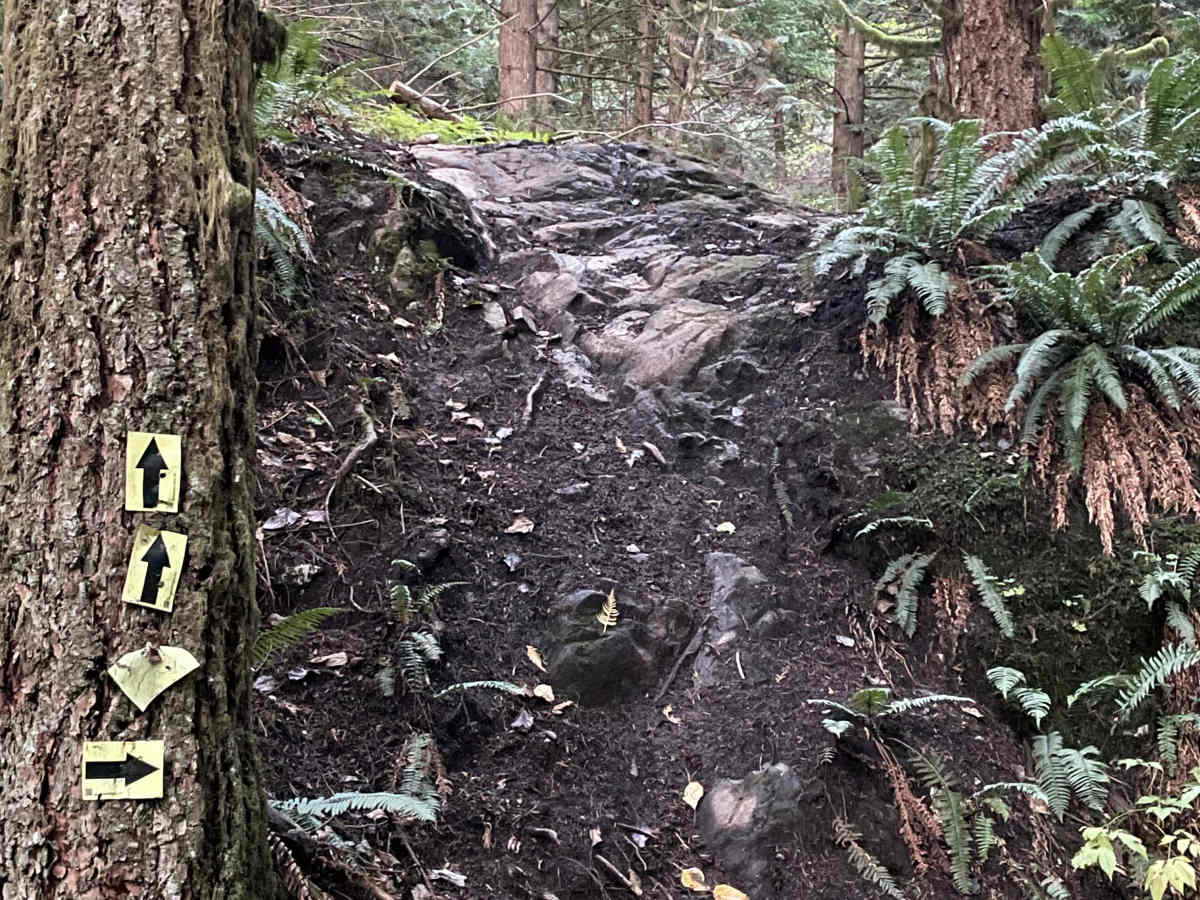 Beggers Gulch Connector trail photo