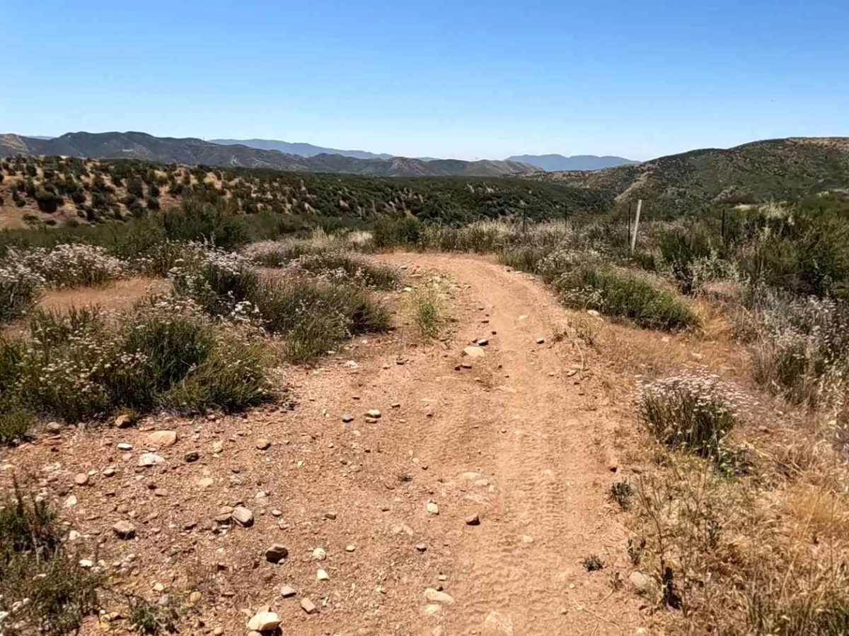 Spring OHV Trail photo 6