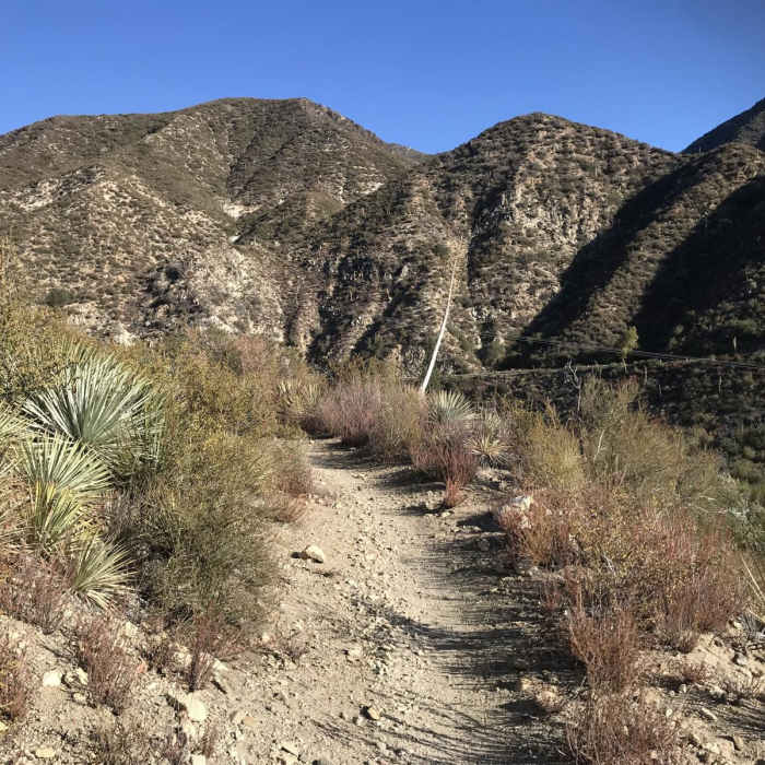 Near Colby Canyon Loop