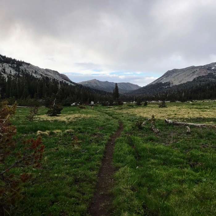 Near Pacific Crest Trail: California Section I