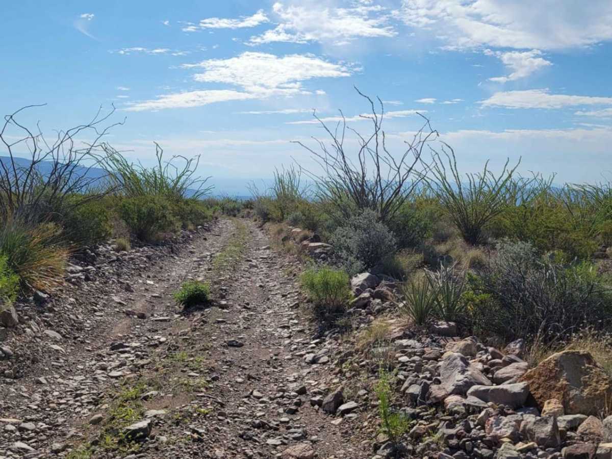 Juniper Canyon photo 6