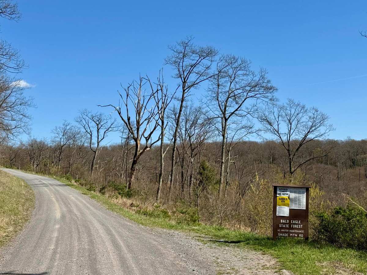 Shade Mountain Rd photo 6