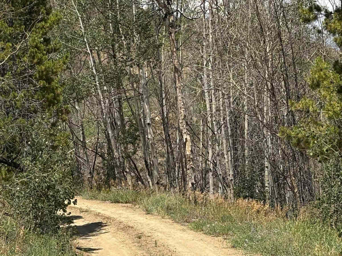 Bureau of Land Management Route 2760 photo 6