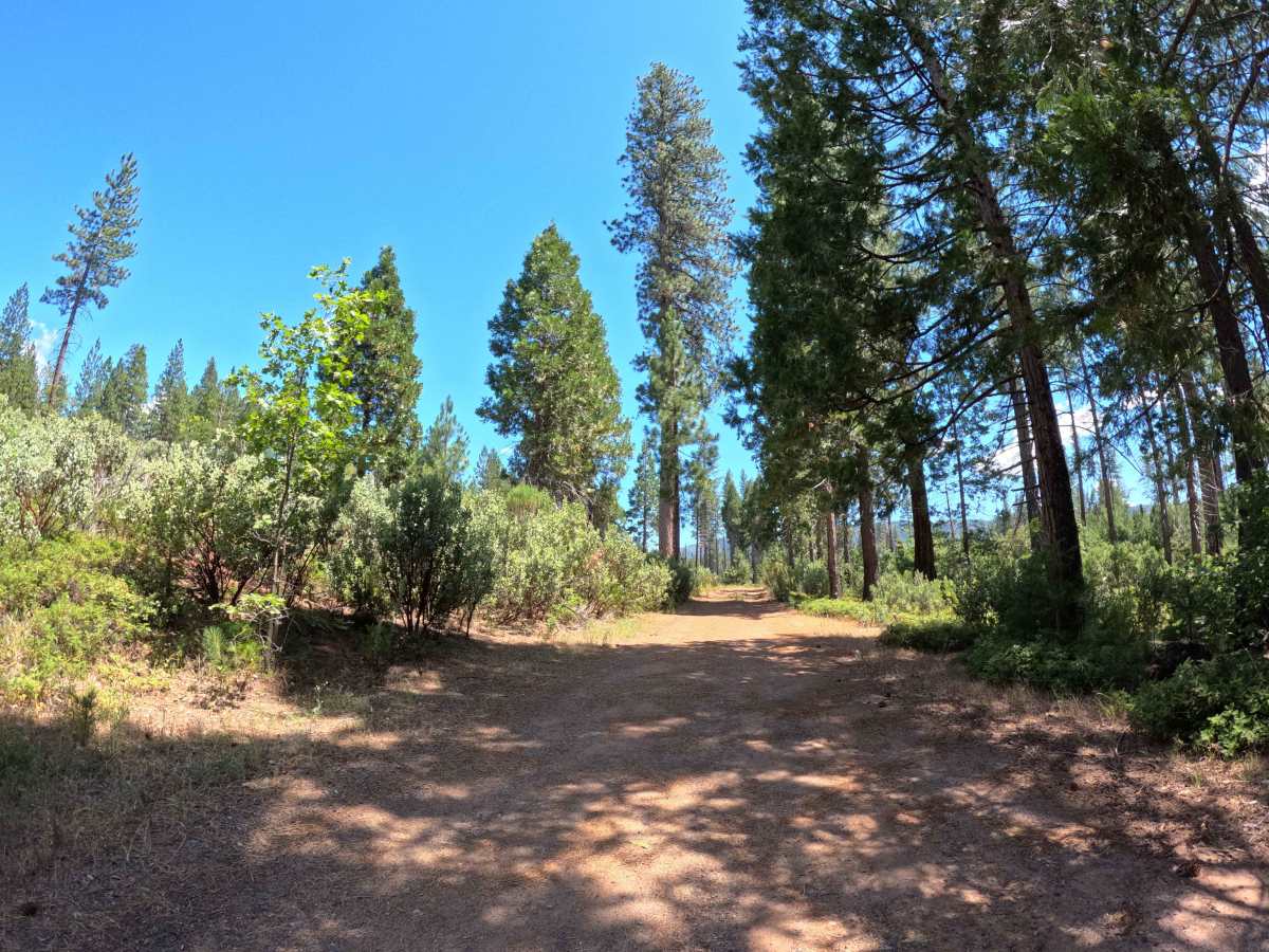 FS 18EV432 trail photo