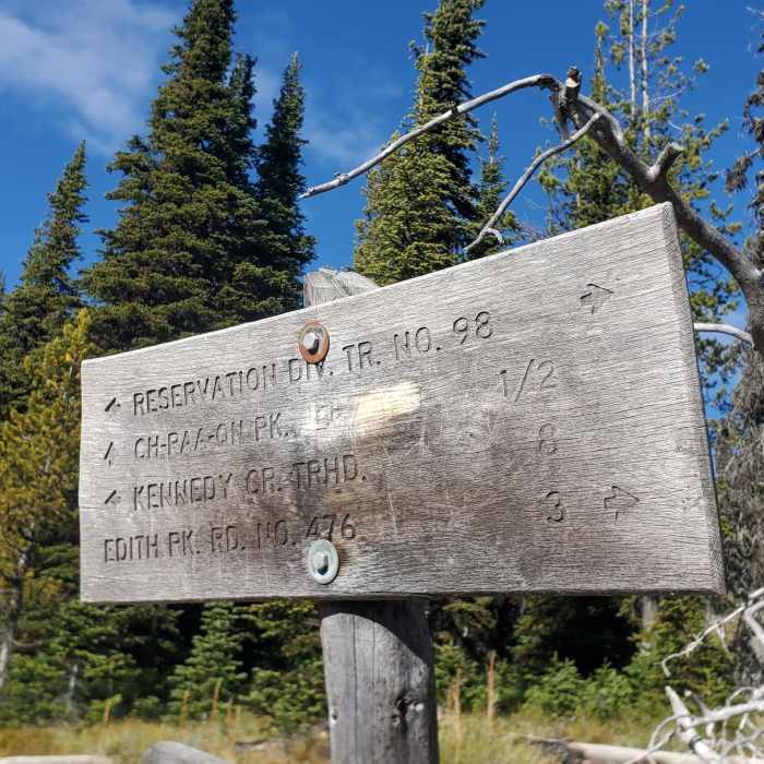 Near Reservation Divide Trail #98