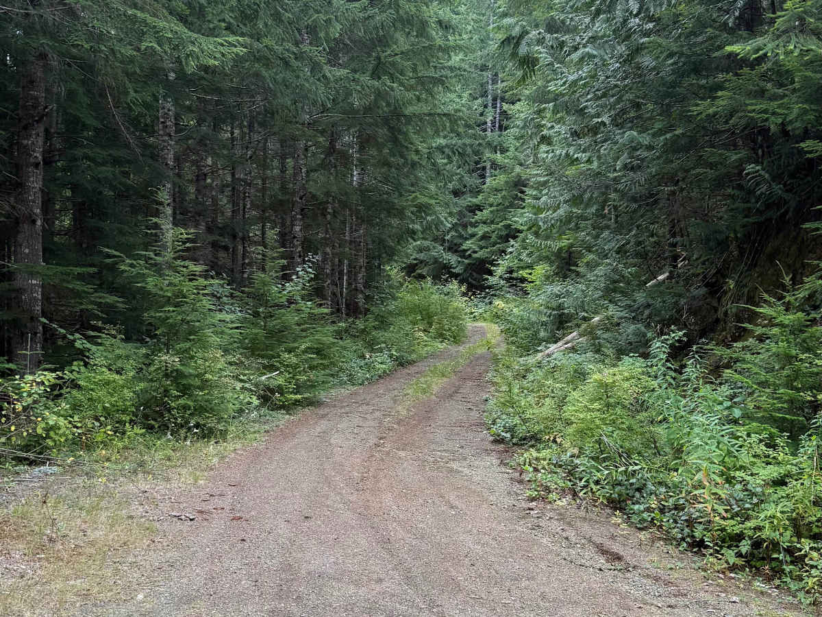C533 photo 6