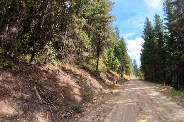 Ward Creek Trail