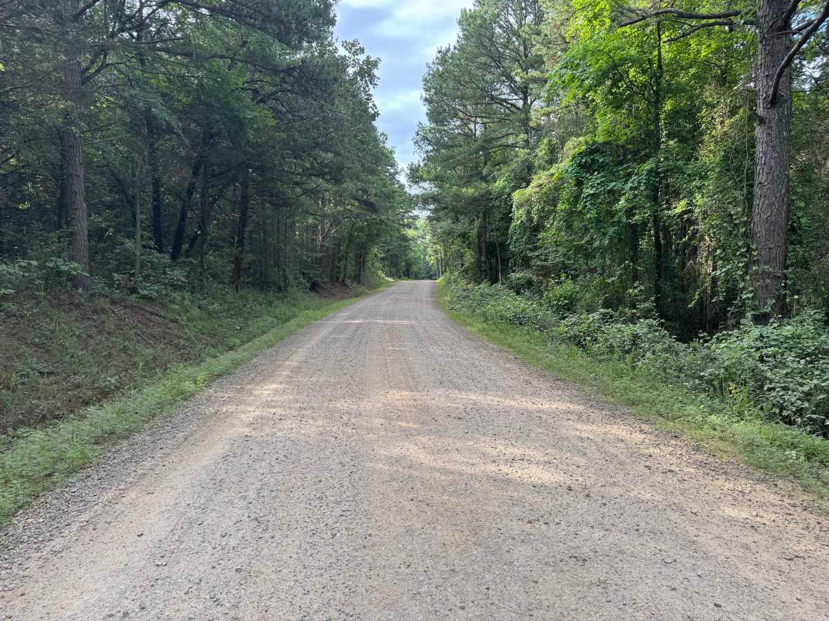 County Road 4410 photo 5