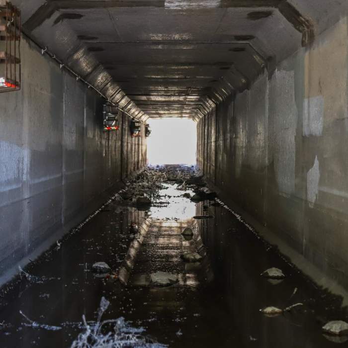 Near Rock Point Mill Trail