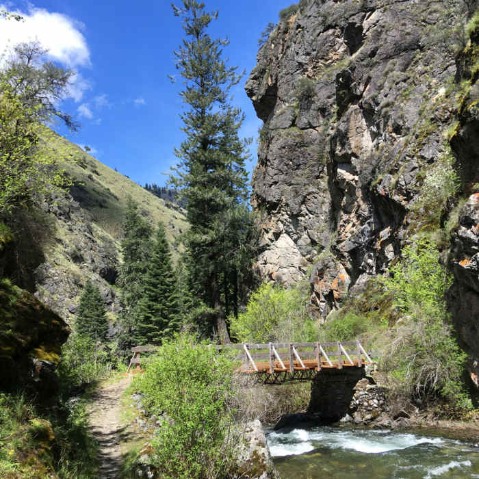 Near Devil of a Drop