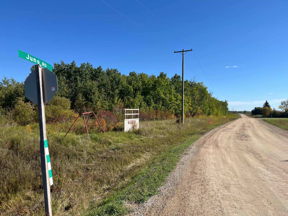 Juno Road photo 4