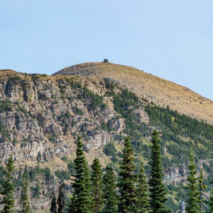 Near Swiftcurrent Lookout