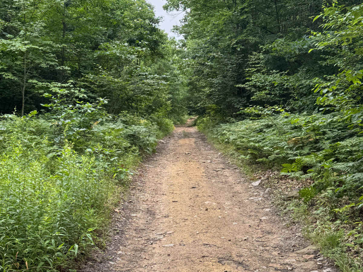 Trail 12 photo 4