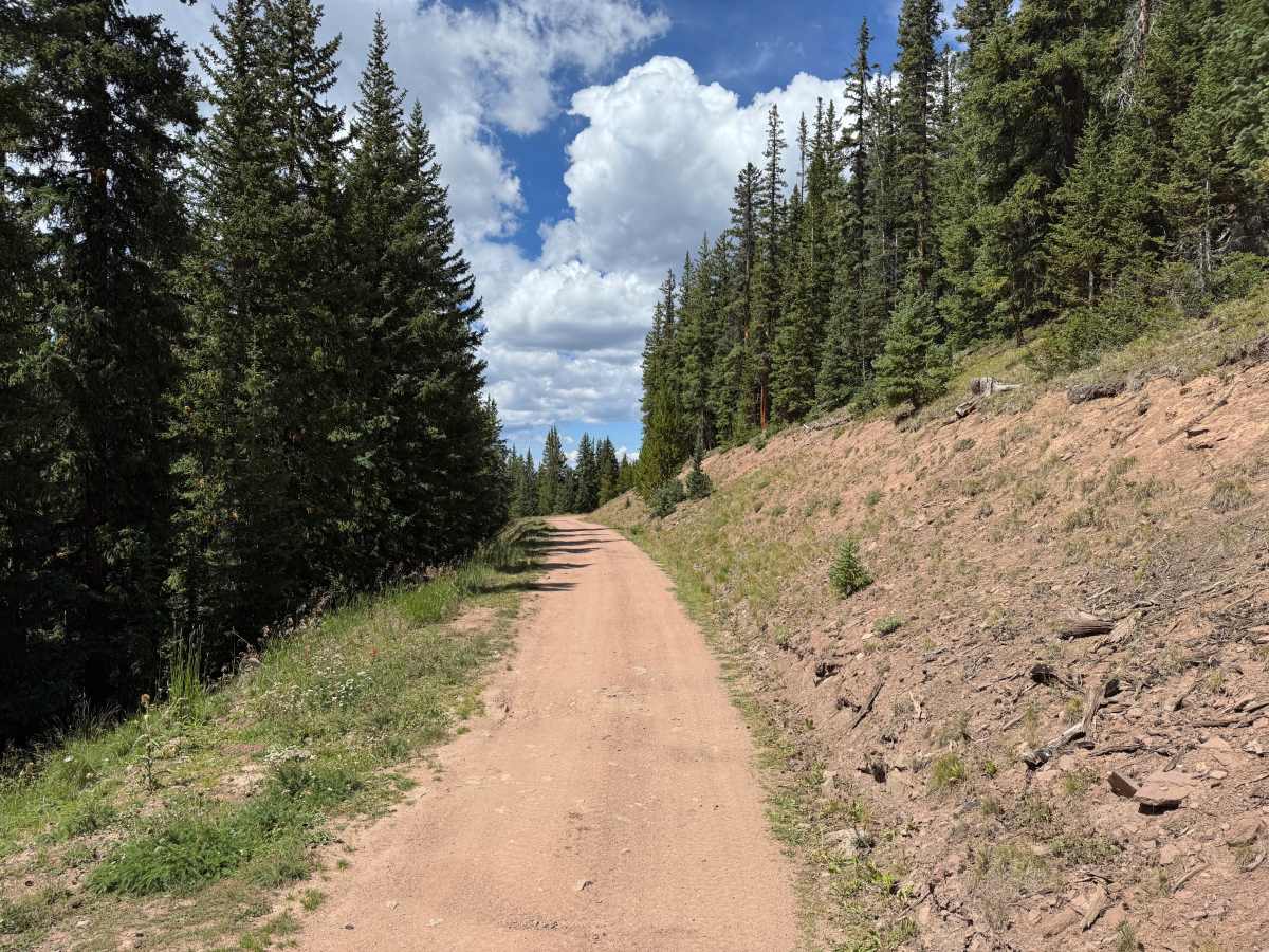 Ptarmigan Road photo 4