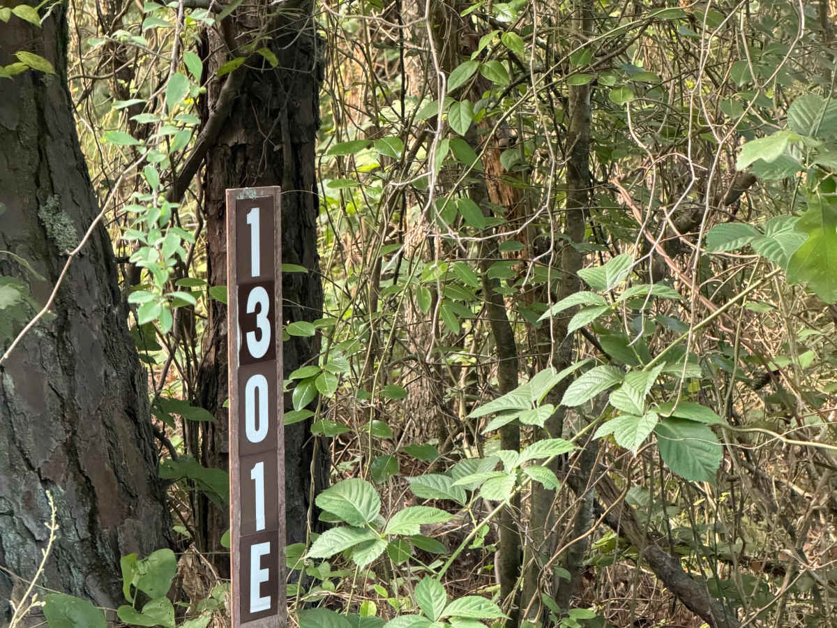 Perscillas Trail trail photo