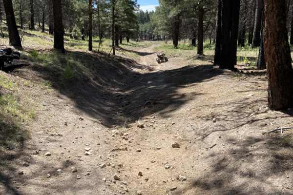 Alder Canyon