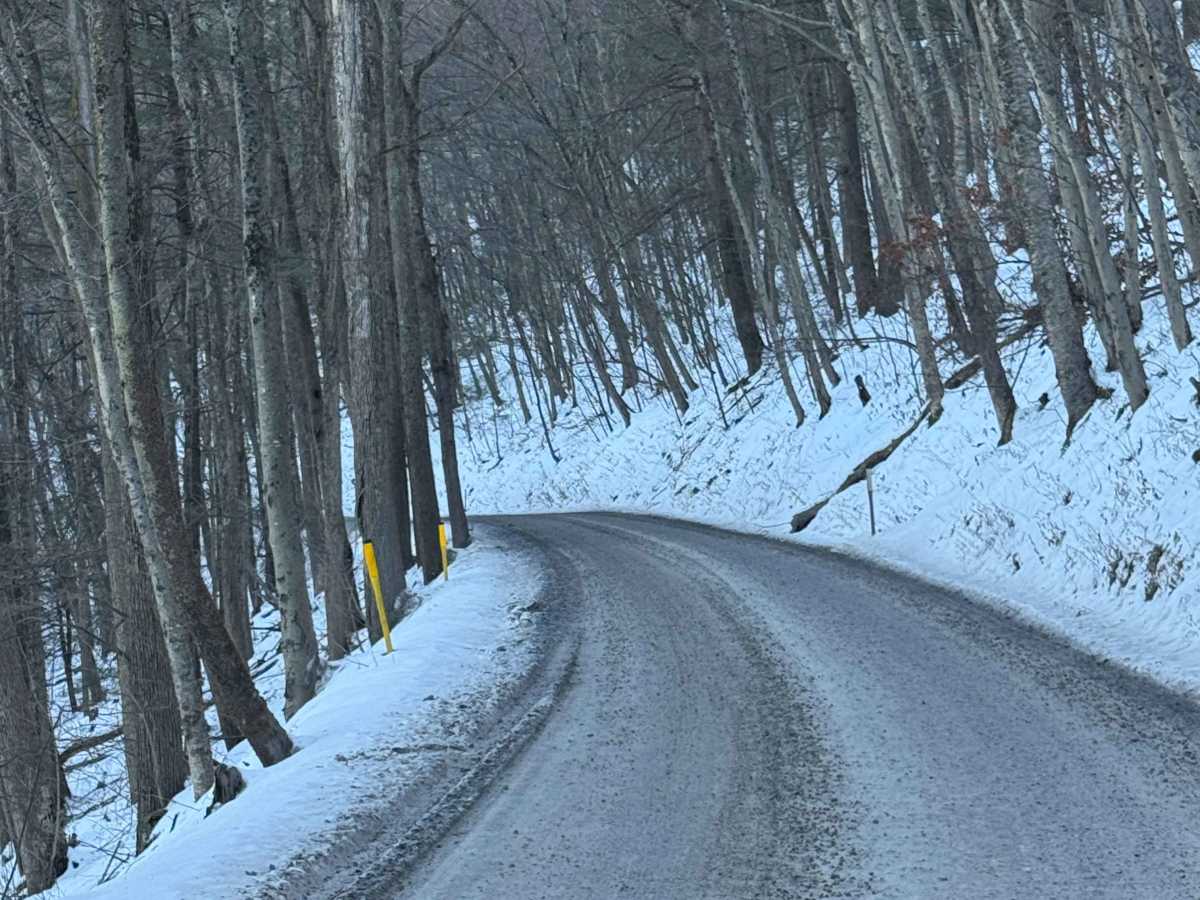 Bodine Mountain Road photo 2