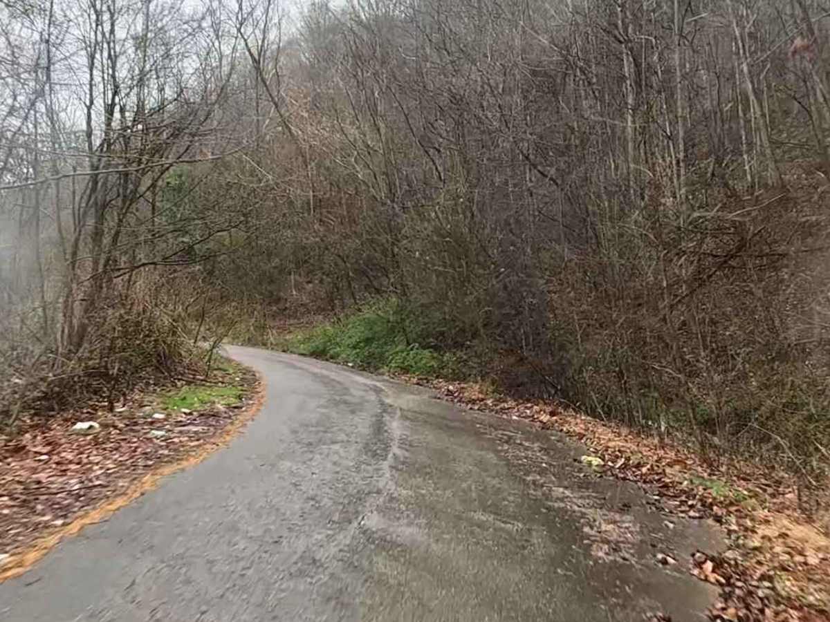 W1 trail photo