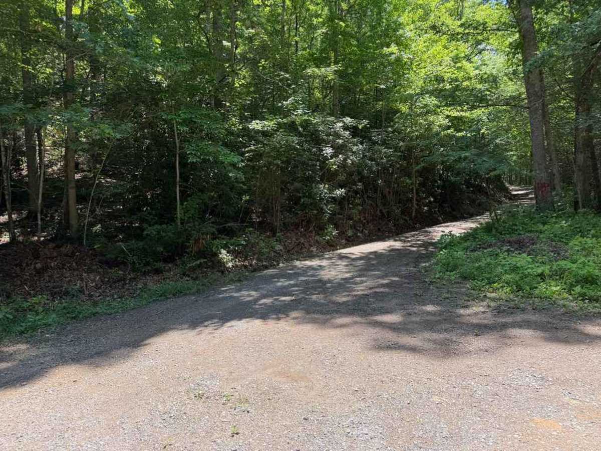 Totten Branch - FS 878 trail photo