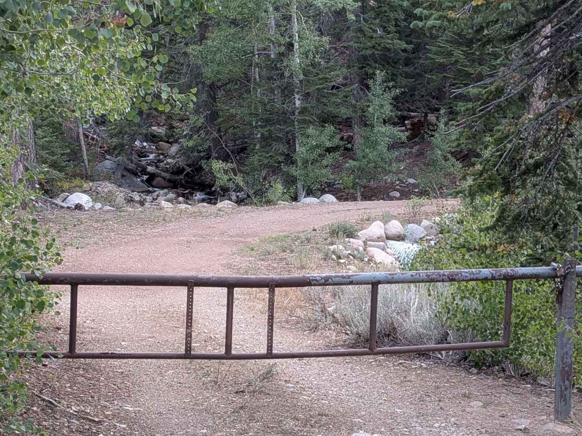 Cow Camp Creek Road photo 2