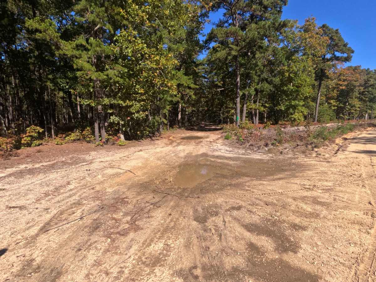 Washington Speedwell Road photo 3