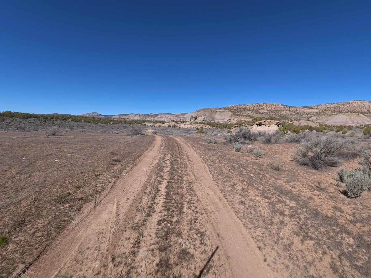 BLM 281 photo 4