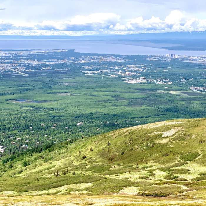 Near Near Point Near Near Point