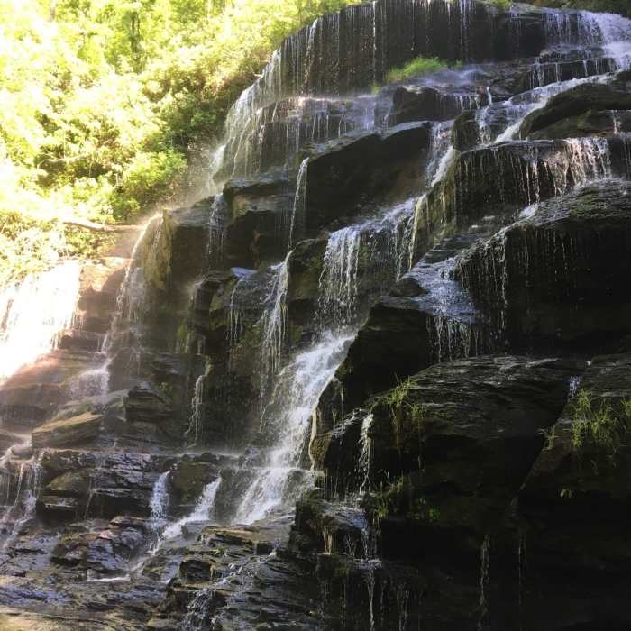 Near Yellow Branch Falls Trail