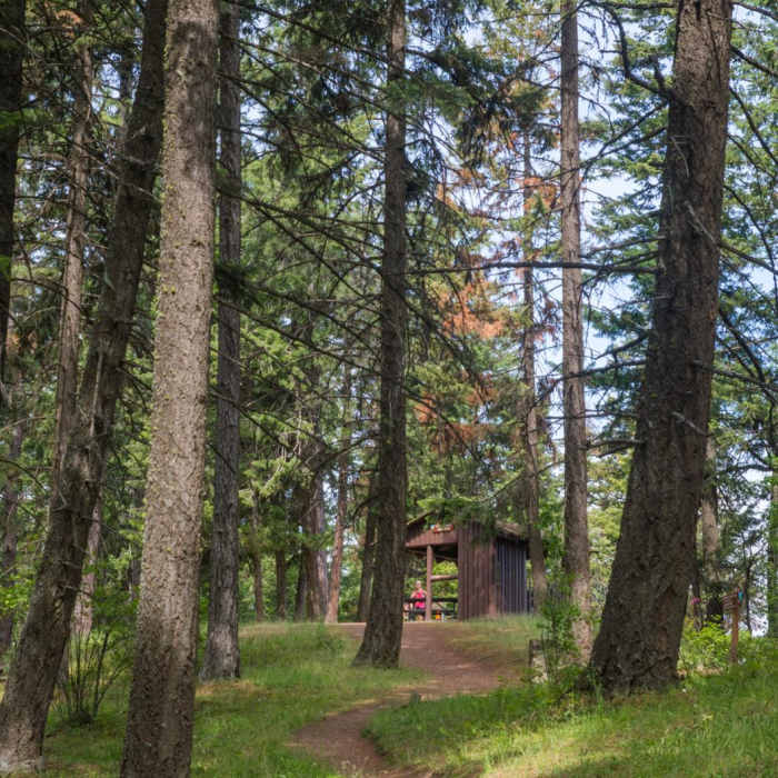 Near Mineral Ridge National Recreation Trail