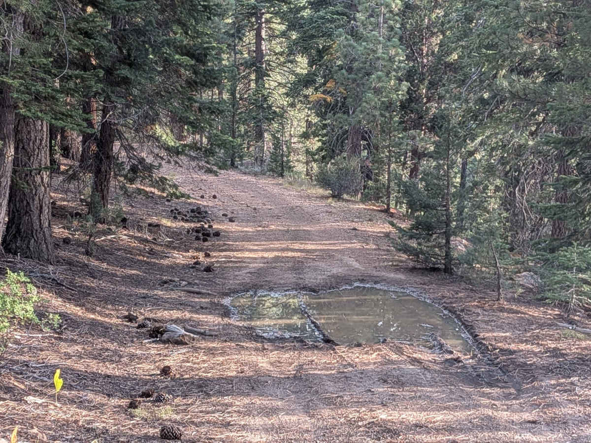 High Peak Road - FS 31050 trail photo