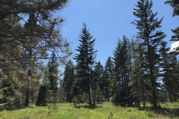Meloy Canyon Road