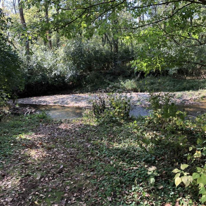 Near Creekside Reserve Loop Trail