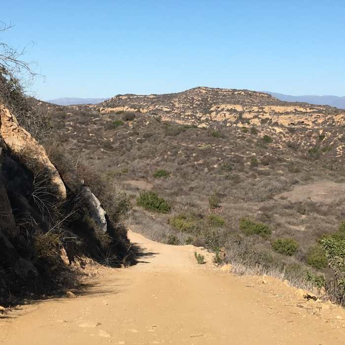 Near Serrano Ridge Trail