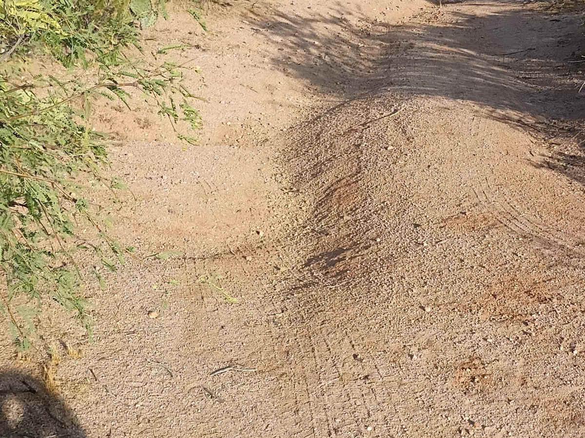 Crisis Trail photo 3