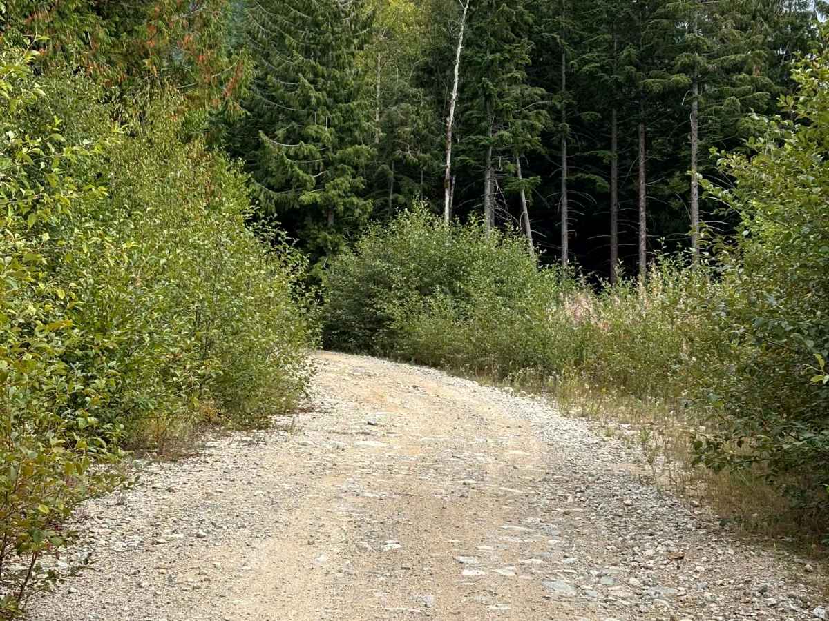 Margaret Creek Pass photo 2