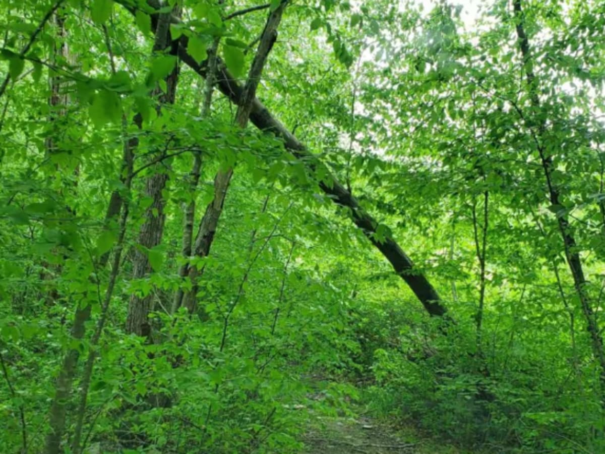 Sully's Way photo 4