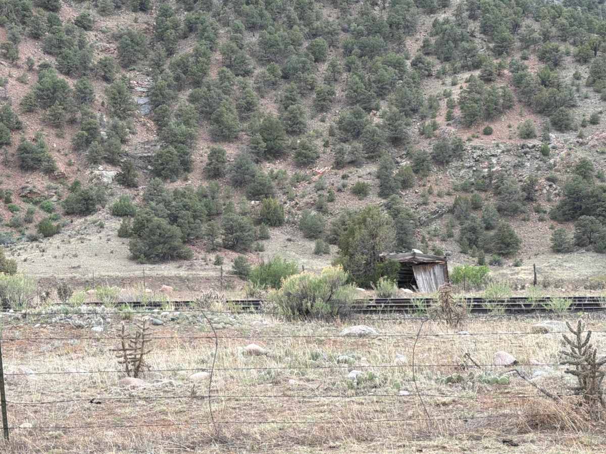 BLM 6020 photo 5