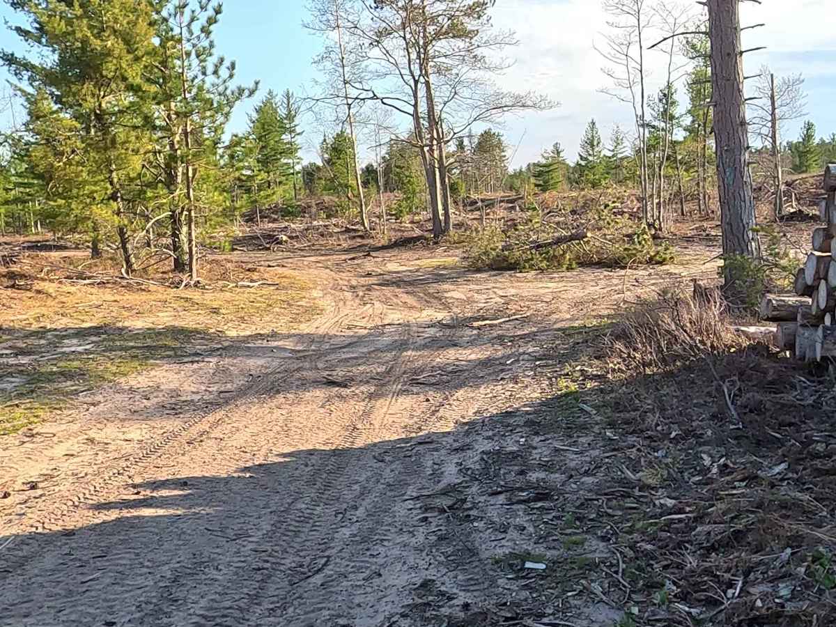 North Wide Water Timber Loop photo 3