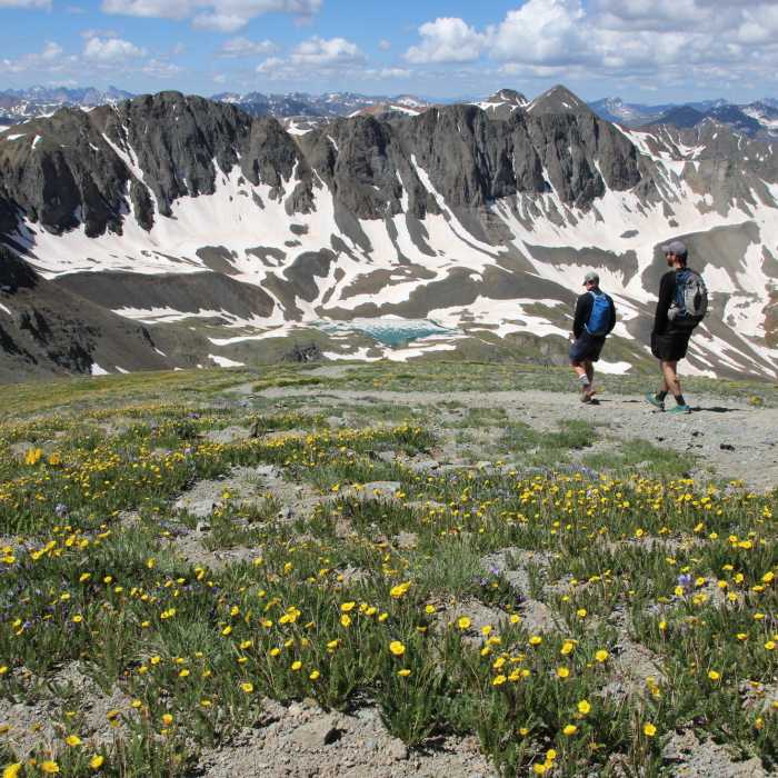 Near Handies Peak - East Slopes