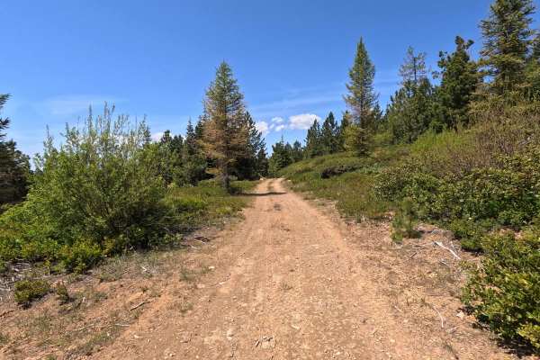 Old Mill - Trail 207
