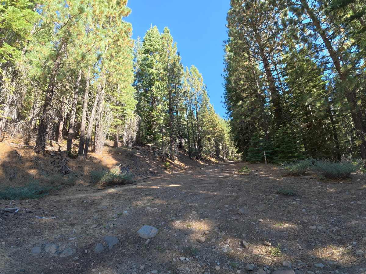FS 6N42Y trail photo