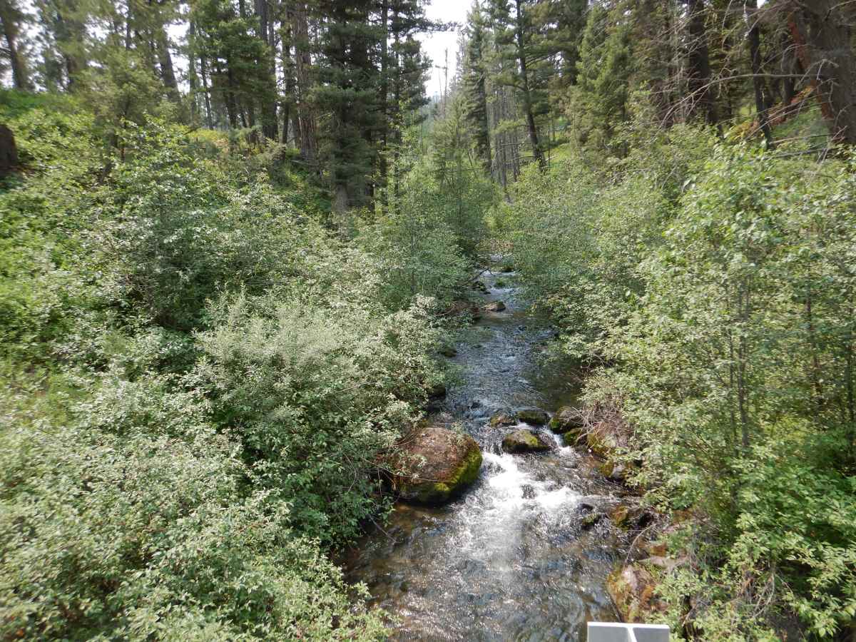 Stemple Pass photo 4