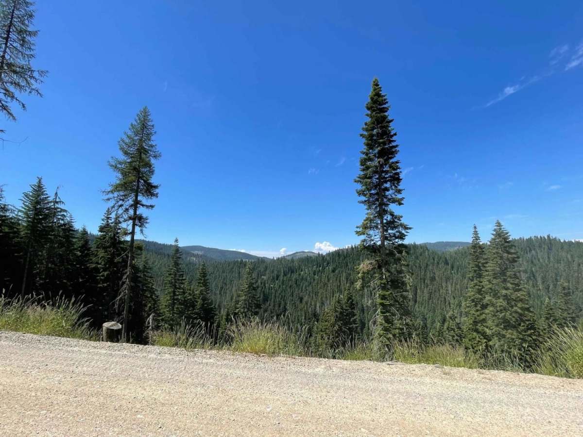 CDA Deception Creek photo 5