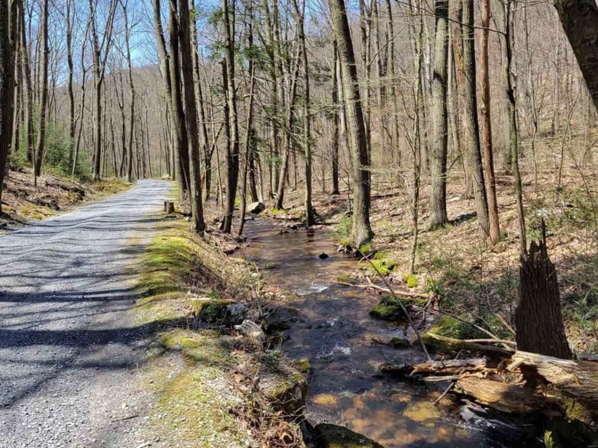 Spectacle Gap trail photo