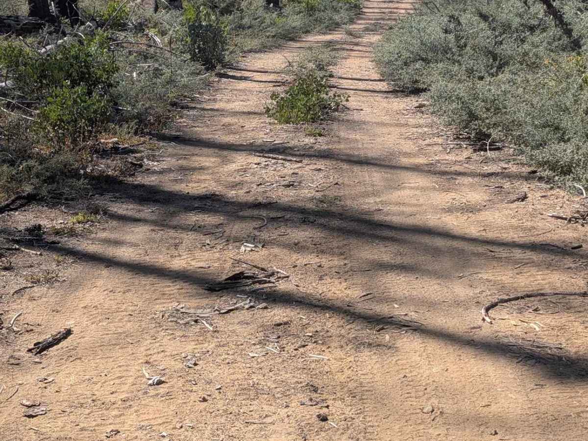 Redding Pine Road - FS 29N38 photo 4