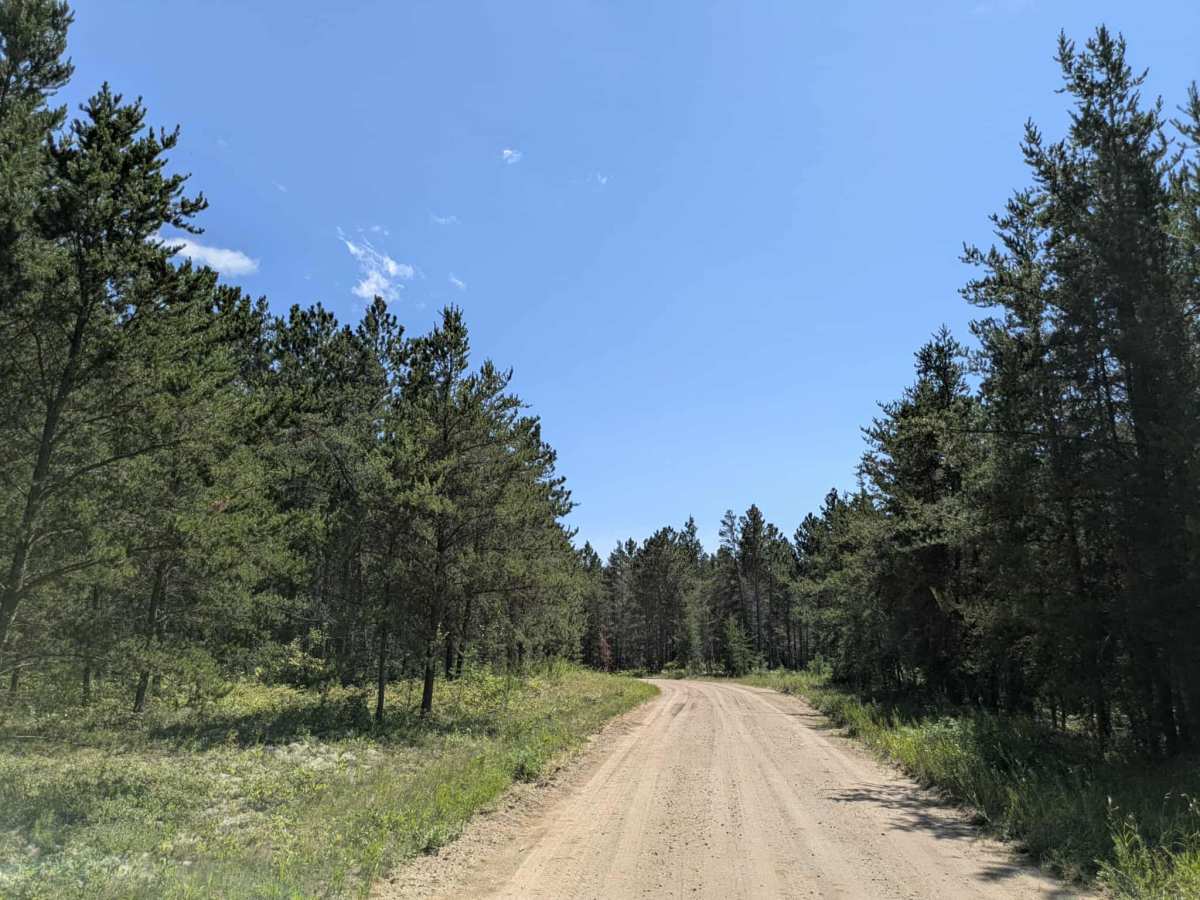 Carps Trail trail photo