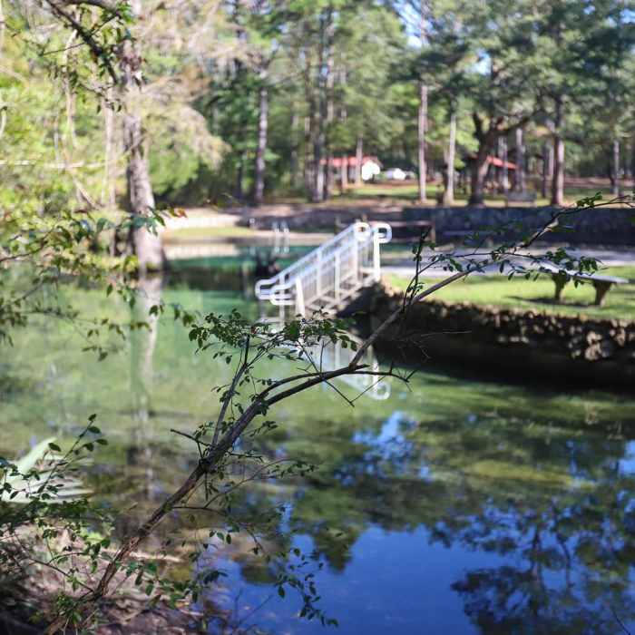Near Spring Run Trail