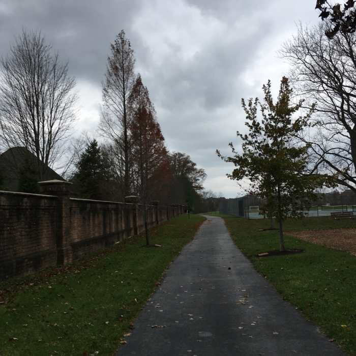 Near Weller Park Trail